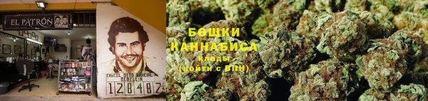 ГАЛЛЮЦИНОГЕННЫЕ ГРИБЫ Абдулино