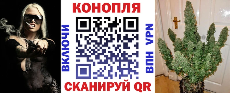Каннабис VHQ  цены наркотик  Кизляр 